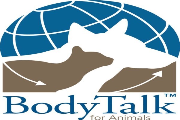 BodyTalk
