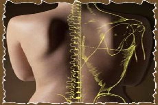 Hippocrates Health World