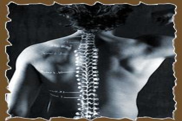 Hippocrates Health World