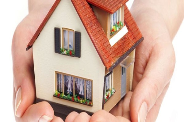 Multi-Prof Insurance Brokers