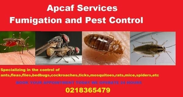 Apcaf Services(Fumigation and Pest Control)