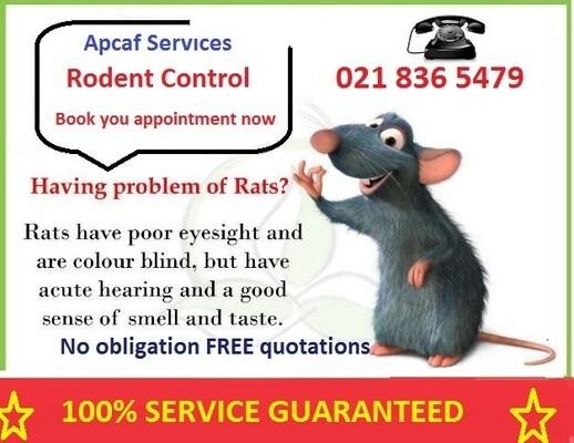 Apcaf Services(Fumigation and Pest Control)