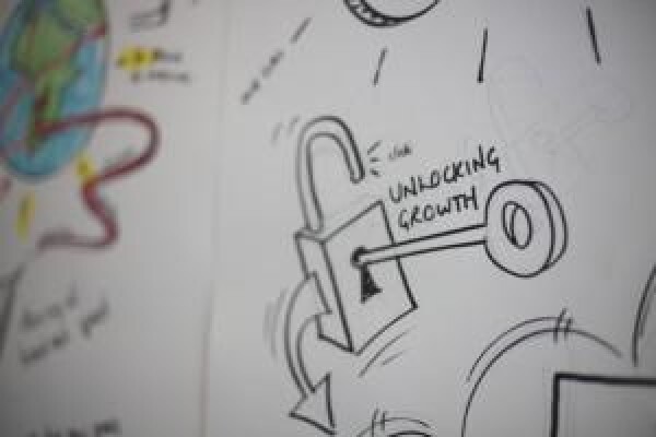 Pygmalion Management Consultants CC