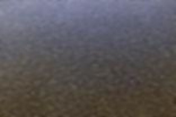 Twighlight Powder Coatings