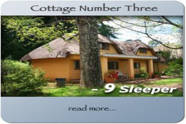 Dragon Peaks Mountain Resort
