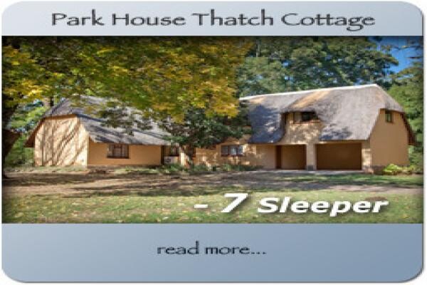 Dragon Peaks Mountain Resort