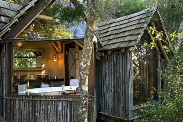 Phantom Forest Eco Reserve