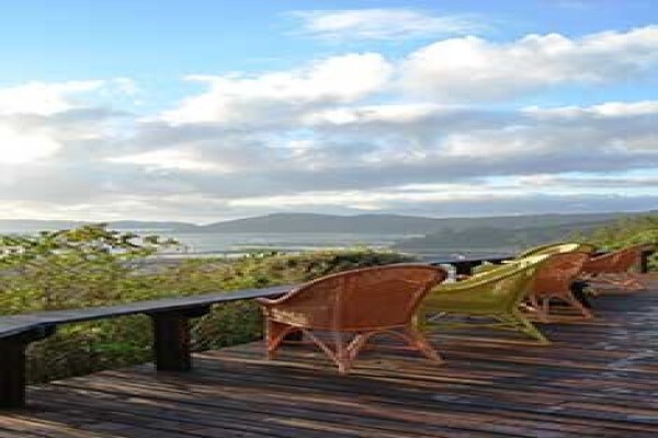 Phantom Forest Eco Reserve