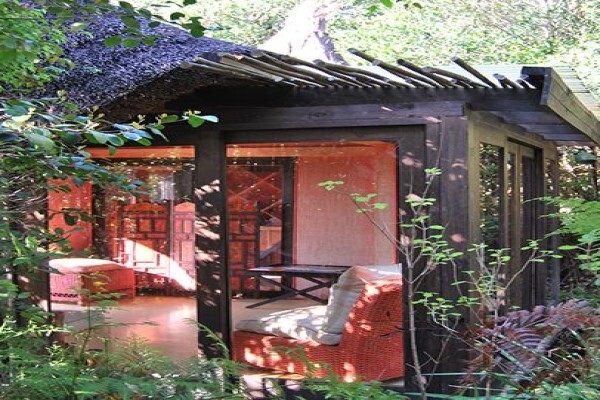 Phantom Forest Eco Reserve