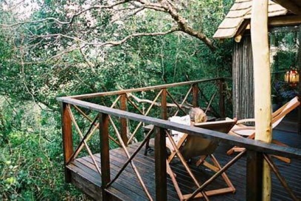 Phantom Forest Eco Reserve