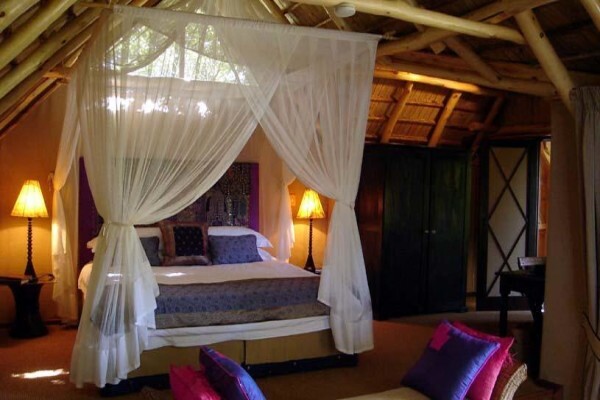 Phantom Forest Eco Reserve