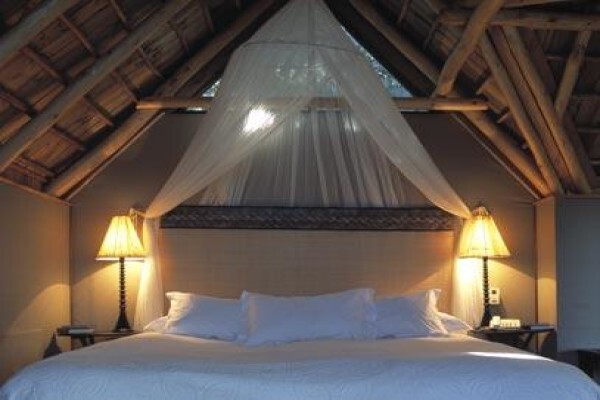 Phantom Forest Eco Reserve