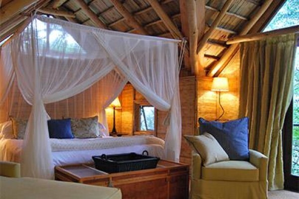 Phantom Forest Eco Reserve
