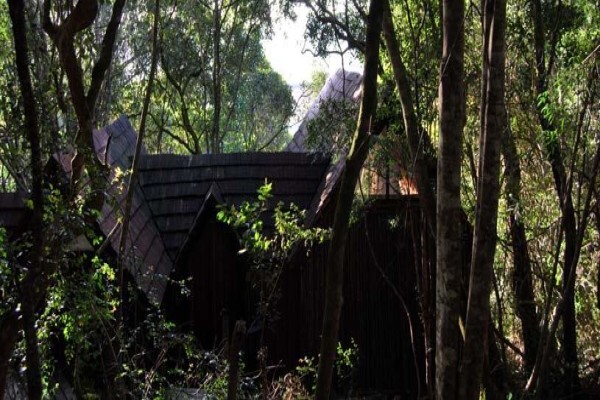 Phantom Forest Eco Reserve