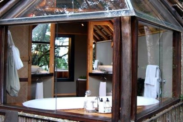 Phantom Forest Eco Reserve