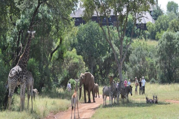 Glen Afric Country Lodge (Pty) Ltd