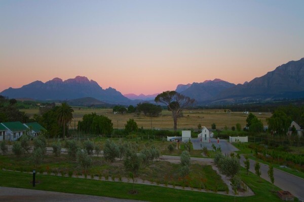 Wild Mushroom Hotel The