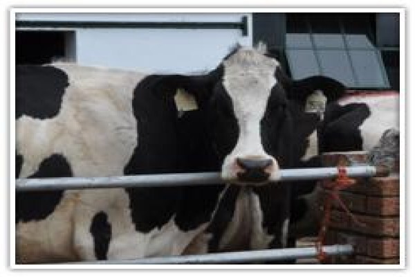 Sterkwater Boerdery:Helpmekaar