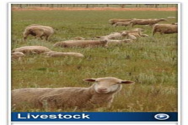 Sterkwater Boerdery:Slangboskloof
