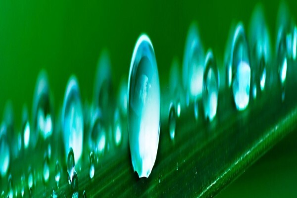 Ecoguard Distributors (Pty) Ltd