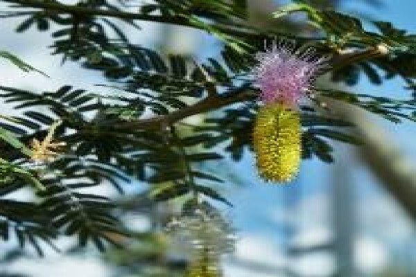 Ecoguard Distributors (Pty) Ltd