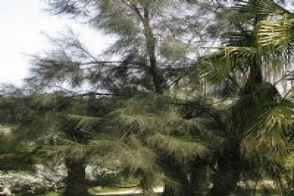 Ecoguard Distributors (Pty) Ltd