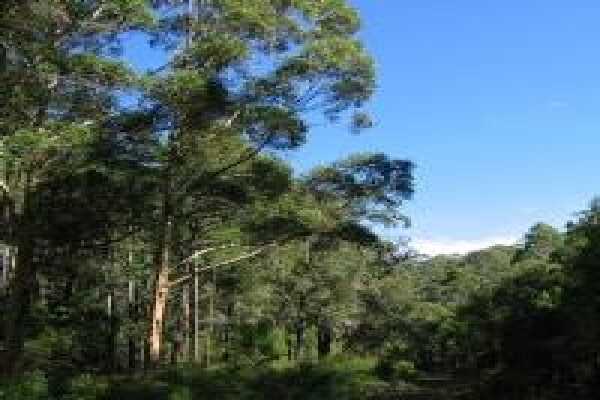 Ecoguard Distributors (Pty) Ltd
