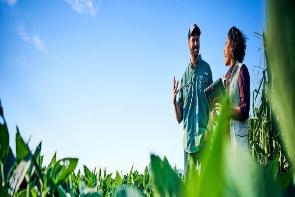 Bayer (Pty) Ltd