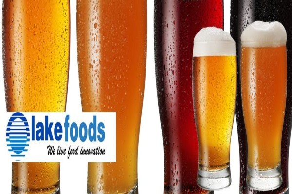 Lake International Technologies (Pty) Ltd