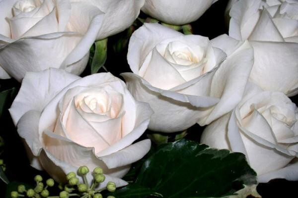 Baker & Baker Funeral Directors
