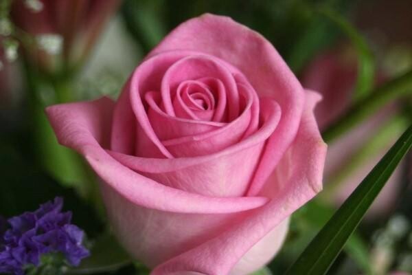 Baker & Baker Funeral Directors