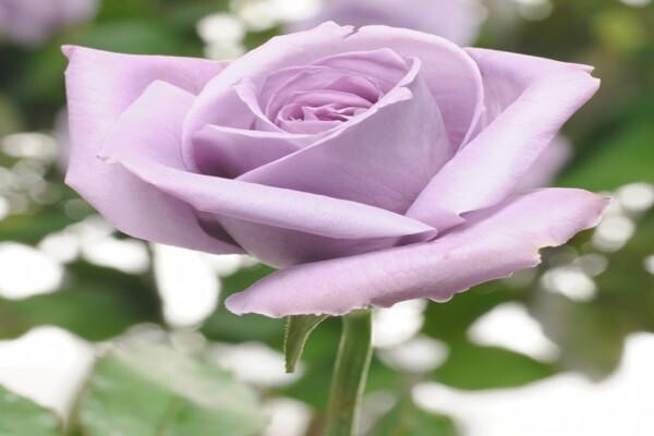 Baker & Baker Funeral Directors