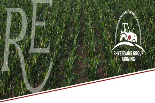 Rhys Evans Group (Pty) Ltd:Werda