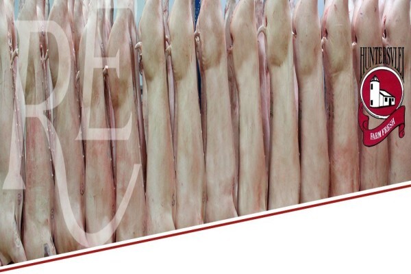 Rhys Evans Group (Pty) Ltd:Werda