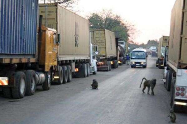 Novotrans International Forwarders