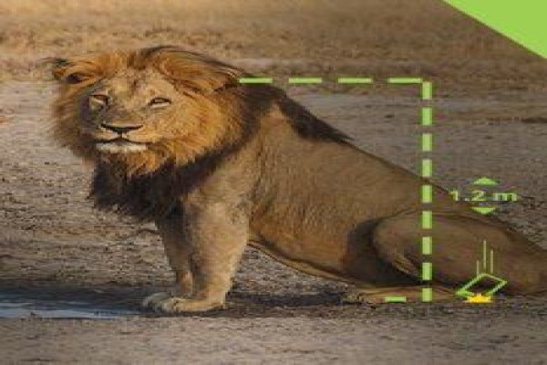 Kemtek Imaging Systems Ltd