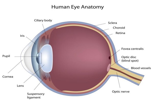 Charl Laas Optometrist