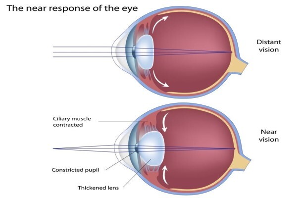 Charl Laas Optometrist