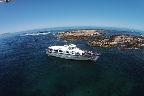 Drumbeat Charters