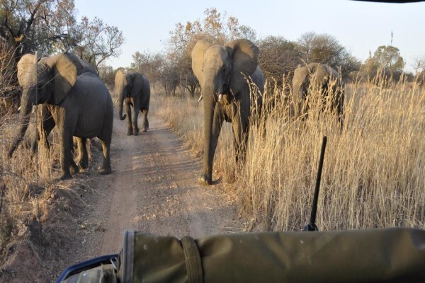 Kwalate Game Ranch (Hammanskraal)