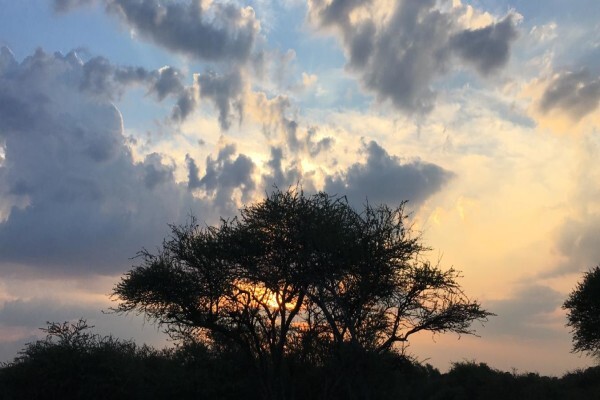 Kwalate Game Ranch (Hammanskraal)