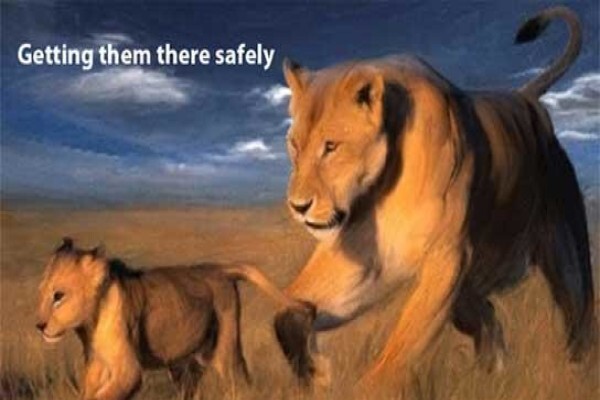 Pride Of Africa Wildlife Solutions