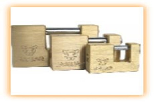 Compusafe