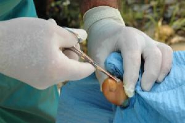 Christian Olivier Podiatrist