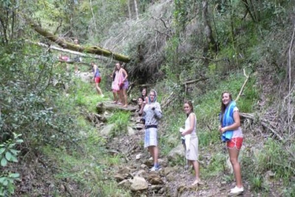 Teniqua Treetops