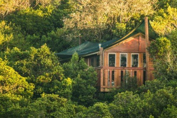 Teniqua Treetops