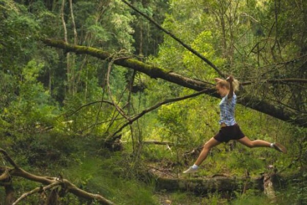 Teniqua Treetops