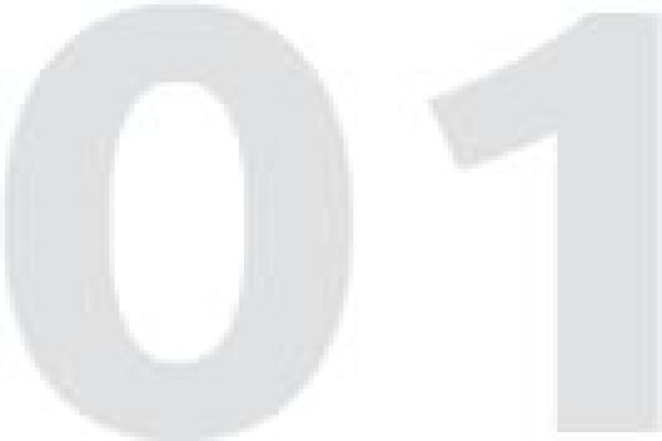 P E Corp Services SA (Pty) Ltd