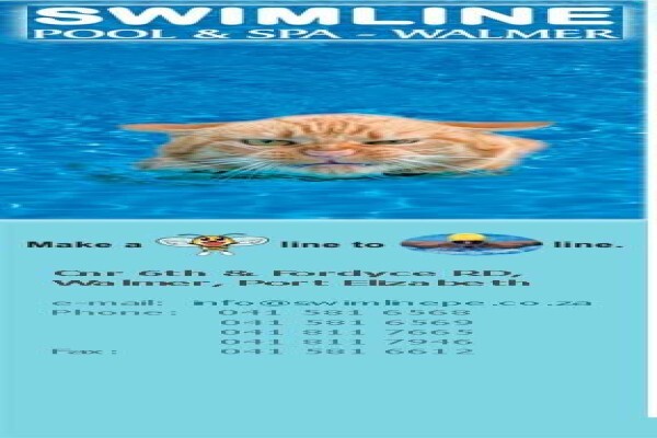 A - Swimline