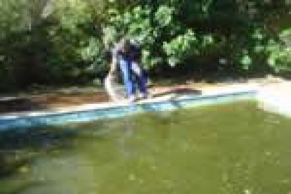 A - Swimline